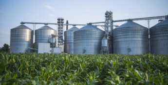 Five large silver silos stand behind a lush green cornfield under a clear sky, showcasing the promise of ethanol production and the incentives provided by tax credits to promote renewable energy sources.