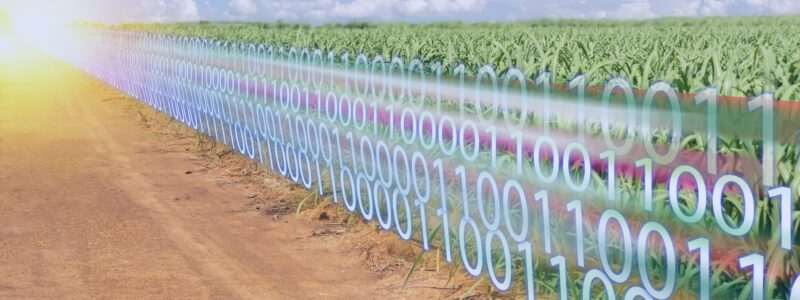 The Application of Blockchains in Ag