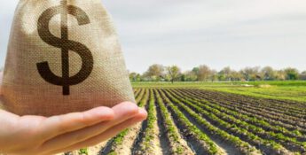 How the Newly Proposed Tax Package Impacts Ag: Actions Needed