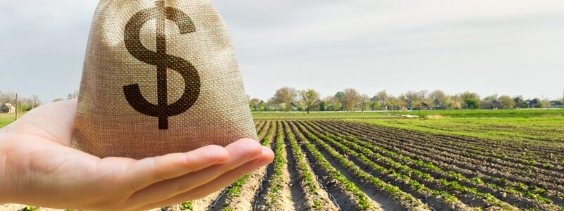 How the Newly Proposed Tax Package Impacts Ag: Actions Needed