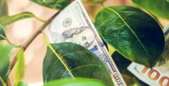 Executing Sustainability: What, Why, and How It's Done