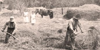 Today's Women Affecting Change in a Challenged Ag Market