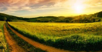 USDA Pauses Additional Assistance for CFAP1 and CFAP2, Second Stimulus (CFAP3) Funds Largely Unaffected