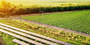 Biofuel Business