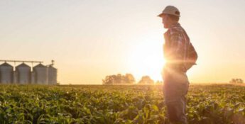 leading harvest