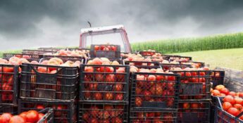 Sustainability Profit with Triple Bottom Line