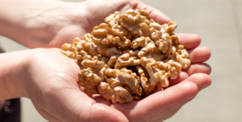 USDA Expands and Extends the Coronavirus Food Assistance Program for Producers