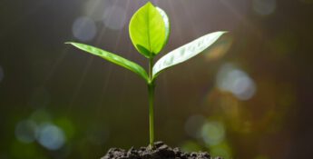 5 Ways to De-Stress about Cash Flow