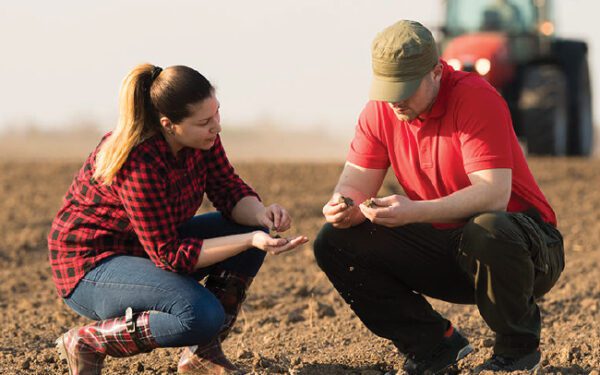 farmers wearing red shirts in a field and squatting down to touch the dirt