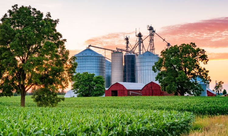 crops and farm with red barn and silos