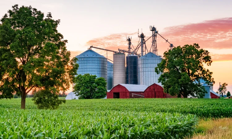 crops and farm with red barn and silos