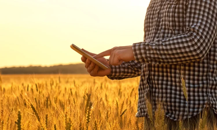 Integrated_Office_farmer_tablet_750x450 Person in a checkered shirt uses a tablet in a golden wheat field during sunset.