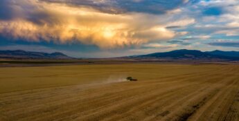 A vast field under a dramatic sky with scattered clouds and sunset hues. A combine harvester creates a dust trail as it moves across the landscape, with hills visible in the background.