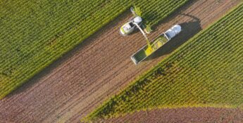 Aerial view of a harvester and trailer working in a green crop field, with rows of plants and harvested area visible.