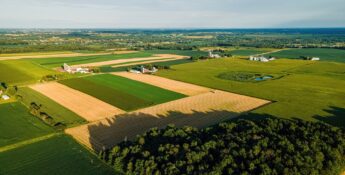 Aerial view of a rural landscape with agricultural fields, a few farm buildings, and patches of forest under a clear sky.