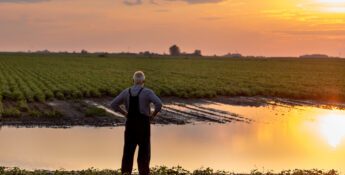 An older man stands by a flooded field at sunset, contemplating the aftermath of natural disasters. The water reflects the sky as he considers to-dos for recovery. The field, once vibrant with crops, stretches to the horizon, a testament to nature's power.
