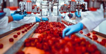 Workers in protective clothing sort red apples on a conveyor belt in a processing facility as food and beverage manufacturers prepare for 2025.
