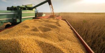 Under the clear sky of 2025, a green combine harvester operates with precision, unloading soybeans into a red trailer. This scene highlights the future of agribusiness and its integration with efficient practices like tax planning.