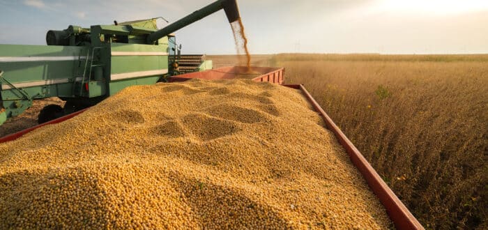 Under the clear sky of 2025, a green combine harvester operates with precision, unloading soybeans into a red trailer. This scene highlights the future of agribusiness and its integration with efficient practices like tax planning.