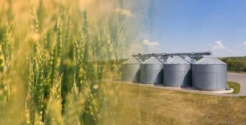 Close-up of wheat field merging into an image of four large metal grain silos set in a rural landscape under a clear blue sky.