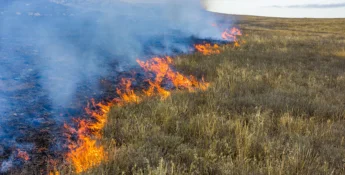 A grassland fire spreads across a field with visible flames and smoke, burning dry vegetation.