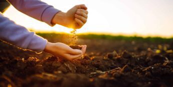 Hands holding and letting soil fall on a field at sunset, symbolizing connection with nature and agriculture.
