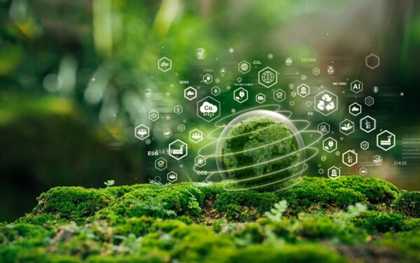 A mossy landscape with digital environmental icons overlay, featuring symbols like CO2, renewable energy, and sustainability, suggesting a connection between nature and technology.