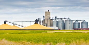 Large grain silos and piles near a processing facility on a cloudy day, with green fields in the foreground.