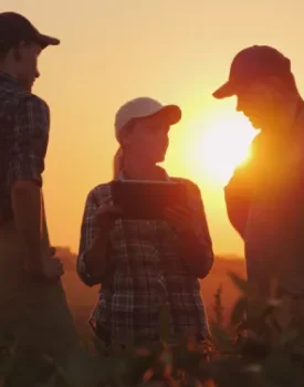 Three farmers stand in a field at sunset, one holding a tablet. All wear caps, and two have aprons. The sun is low on the horizon, casting a warm glow.