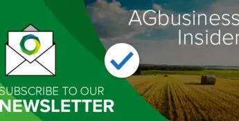 Download our newsletter