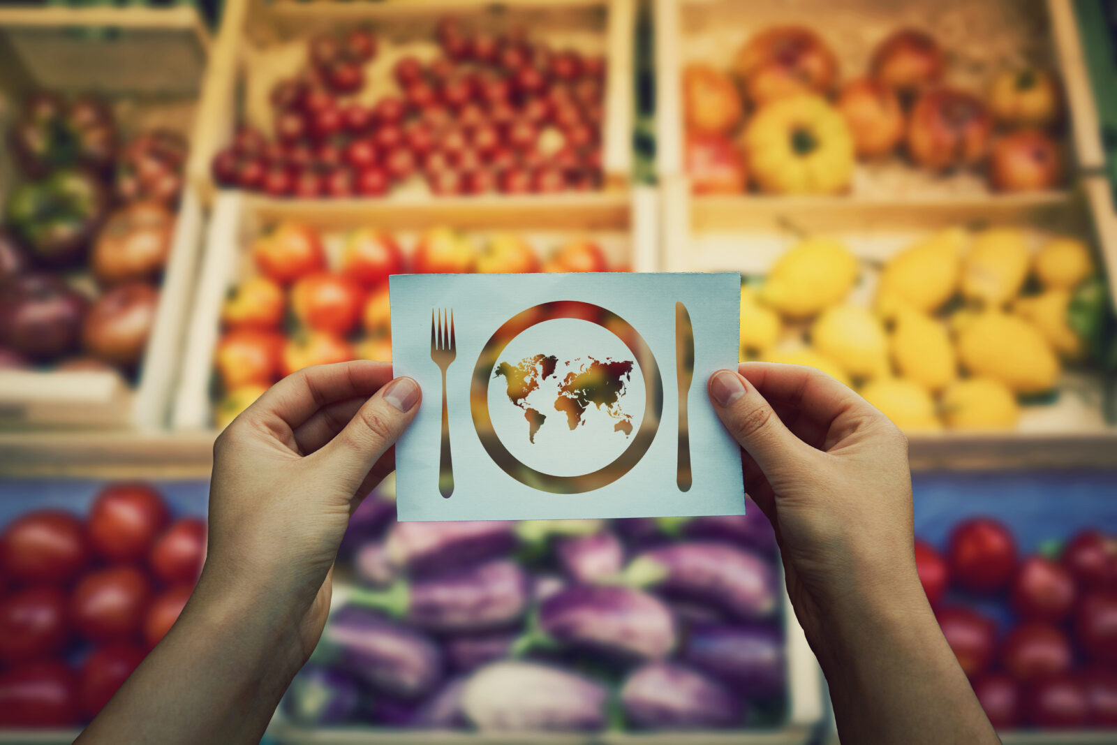 A person holds a card showing a plate with a world map, fork, and knife, with assorted fruits and vegetables blurred in the background.