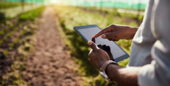 Person using a tablet in a field, with crops growing on both sides of a dirt path and sunlight visible in the distance.