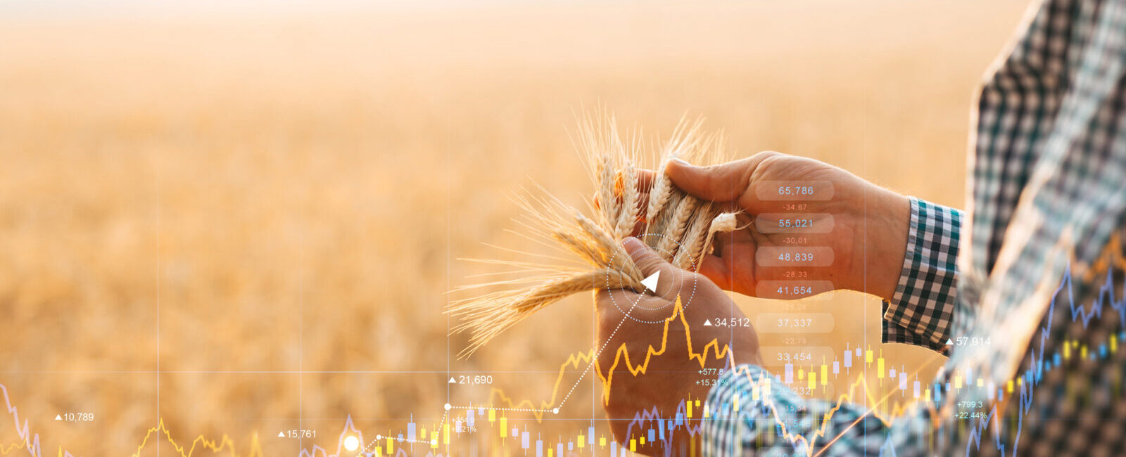 A person in a plaid shirt holds wheat stalks in a field, with overlaid financial graphs and stock data illustrating agriculture market trends and boosting farm efficiency.