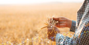 A person in a plaid shirt holds wheat stalks in a field, with overlaid financial graphs and stock data illustrating agriculture market trends and boosting farm efficiency.