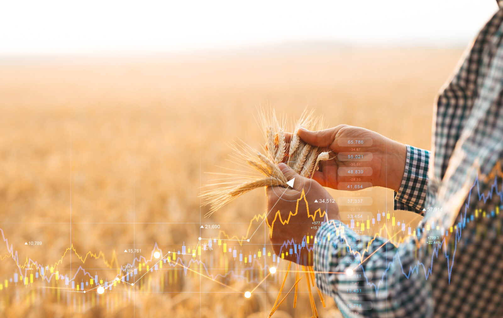 A person in a plaid shirt holds wheat stalks in a field, with overlaid financial graphs and stock data illustrating agriculture market trends and boosting farm efficiency.