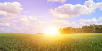 The sun rises over a green field with scattered trees on the horizon under a blue sky with fluffy white clouds.