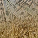 Various denominations of US dollar bills are overlaid on a field of wheat, symbolizing the relationship between agriculture and money.