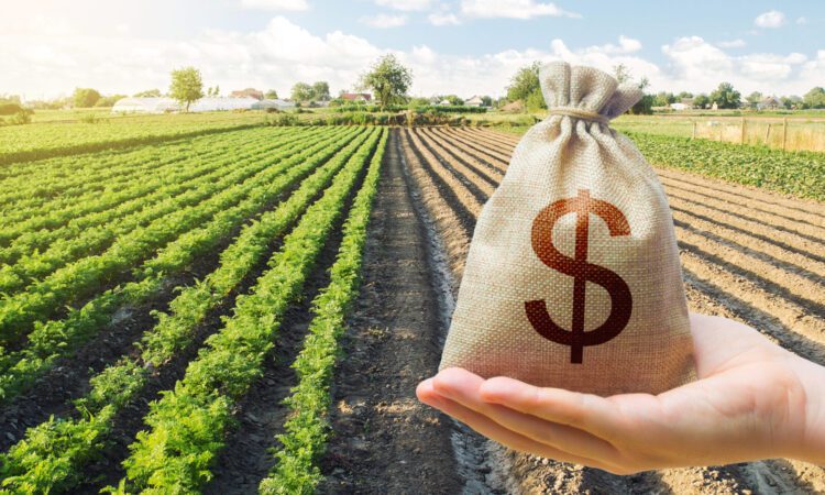 A hand holds a burlap sack with a dollar sign, set against the background of a cultivated farmland under a partly cloudy sky.