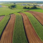 An aerial view of farmland showing alternating strips of green crops and brown plowed soil, with buildings and trees in the background.