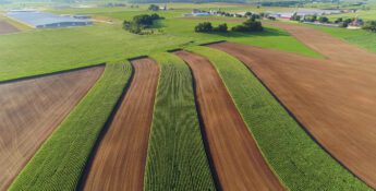 An aerial view of farmland showing alternating strips of green crops and brown plowed soil, with buildings and trees in the background.