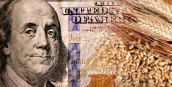 Close-up of a U.S. hundred-dollar bill partially covered by wheat stalks and grains, symbolizing the connection between agriculture and money.