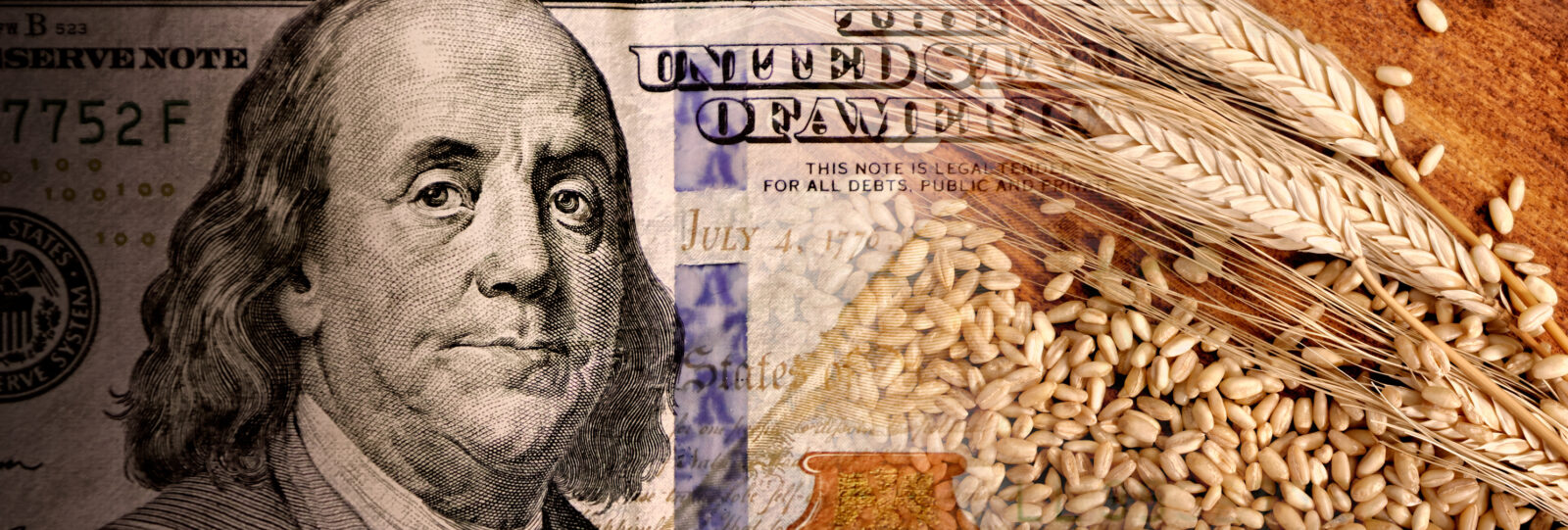 Close-up of a U.S. hundred-dollar bill partially covered by wheat stalks and grains, symbolizing the connection between agriculture and money.