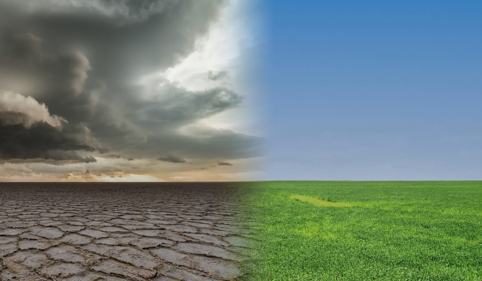 A split landscape illustrating Climate Risk Assessments: a cracked, barren desert beneath cloudy skies on the left contrasts with a lush, green field and clear blue sky on the right.