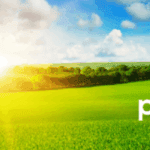 Green field under a blue sky with clouds and sunlight, highlighting the Pinion logo and name in the lower right corner as Pinion Expands Midwest Presence as Gifford & Cox Joins the firm.
