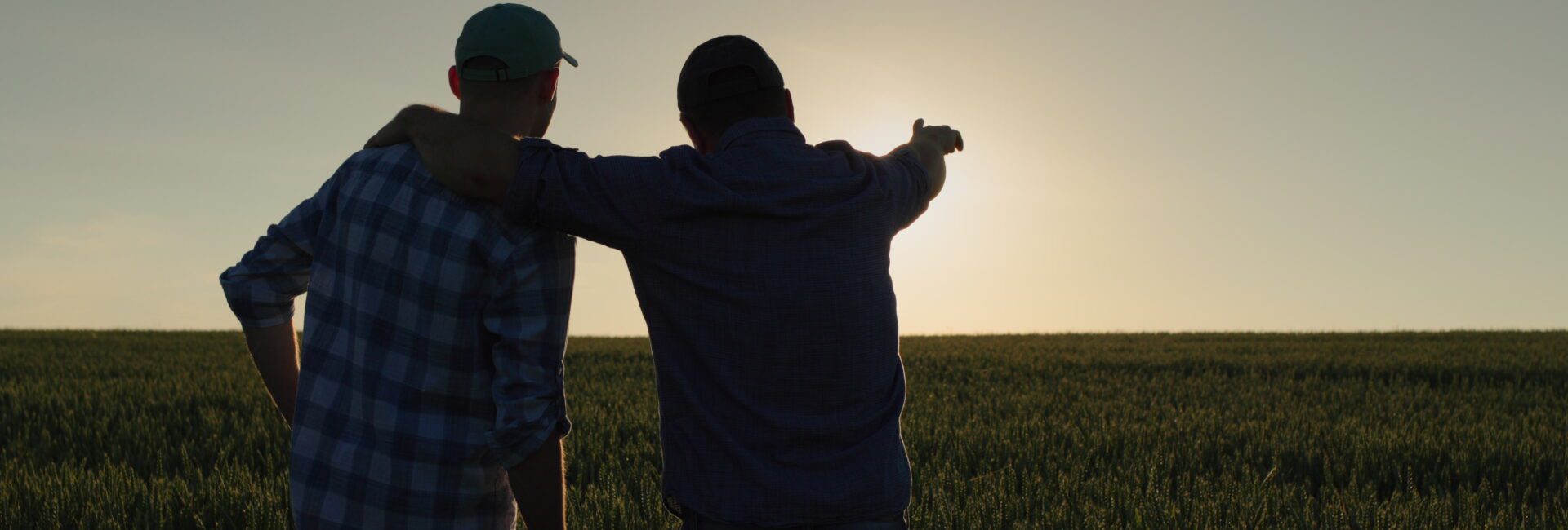 Two people stand in a field at sunset, one with an arm around the other and pointing towards the horizon, reflecting how farmers turning to peer groups seek support and share insights for a brighter future.