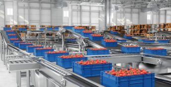 Blue crates filled with red tomatoes move along a stainless steel conveyor system inside a large, modern warehouse.