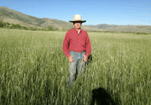 A person wearing a straw hat, red plaid shirt, and jeans stands in a green field beneath a clear blue sky, embodying Creating Stewardship-Driven Value on Ranches with mountains in the background.