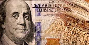 A close up of a currency.