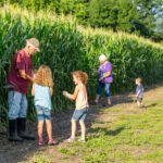 An older man and two children stand by tall corn plants, while an older woman and two smaller children walk nearby on a sunny day—connecting transitioning farmers with future farmers across generations.