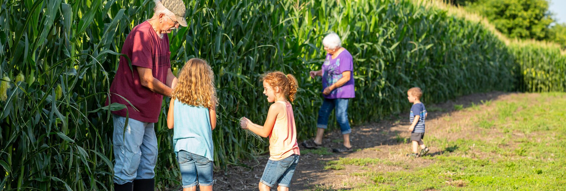 An older man and two children stand by tall corn plants, while an older woman and two smaller children walk nearby on a sunny day—connecting transitioning farmers with future farmers across generations.
